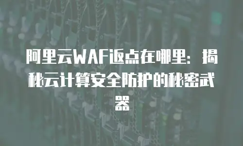 阿里云WAF返点在哪里：揭秘云计算安全防护的秘密武器