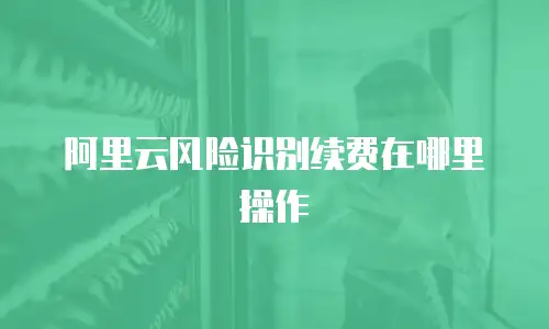 阿里云风险识别续费在哪里操作