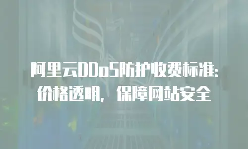 阿里云DDoS防护收费标准：价格透明，保障网站安全
