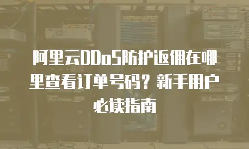 阿里云DDoS防护返佣在哪里查看订单号码？新手用户必读指南