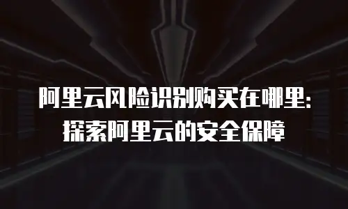 阿里云风险识别购买在哪里：探索阿里云的安全保障