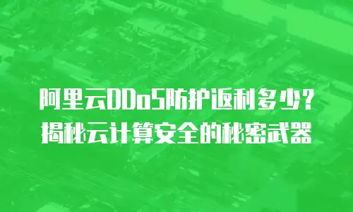 阿里云DDoS防护返利多少？揭秘云计算安全的秘密武器