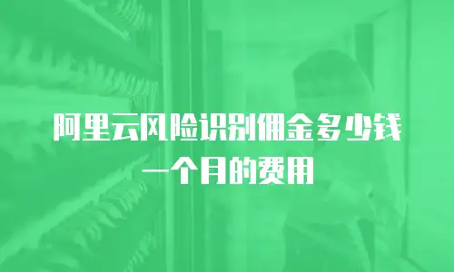 阿里云风险识别佣金多少钱一个月的费用