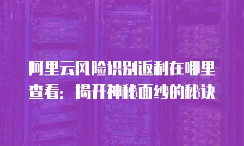 阿里云风险识别返利在哪里查看：揭开神秘面纱的秘诀