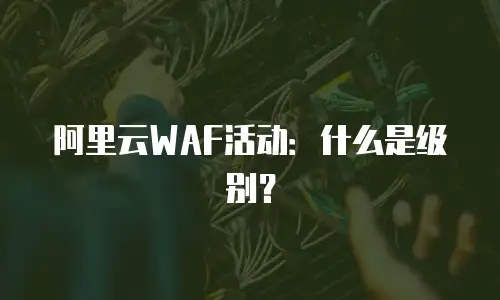 阿里云WAF活动：什么是级别？