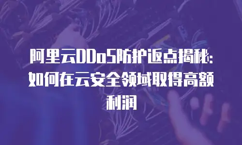 阿里云DDoS防护返点揭秘：如何在云安全领域取得高额利润