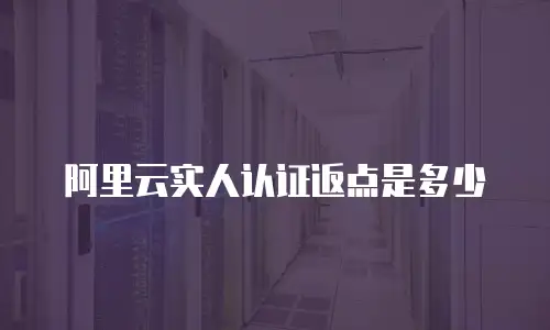阿里云实人认证返点是多少