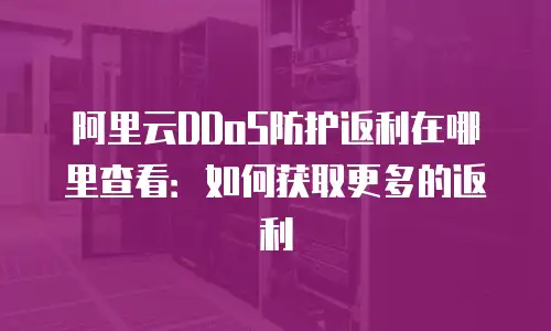 阿里云DDoS防护返利在哪里查看：如何获取更多的返利