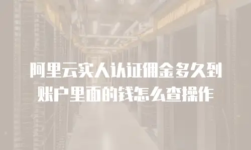 阿里云实人认证佣金多久到账户里面的钱怎么查操作