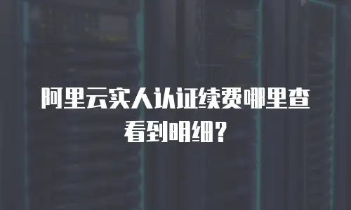 阿里云实人认证续费哪里查看到明细？