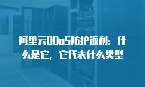 阿里云DDoS防护返利：什么是它，它代表什么类型
