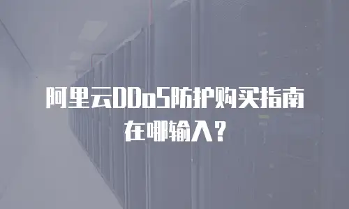 阿里云DDoS防护购买指南在哪输入？