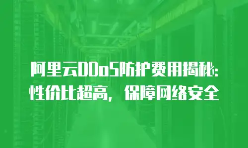 阿里云DDoS防护费用揭秘：性价比超高，保障网络安全