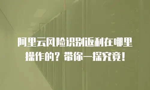 阿里云风险识别返利在哪里操作的？带你一探究竟！