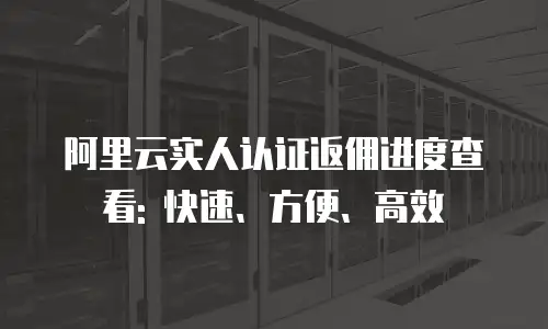 阿里云实人认证返佣进度查看: 快速、方便、高效