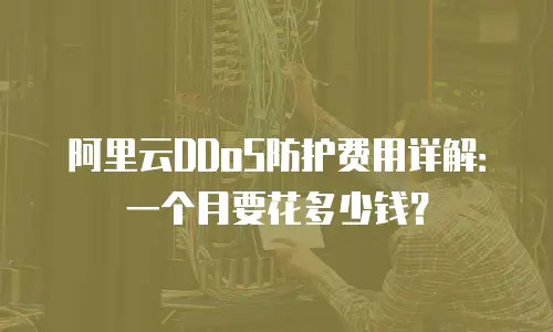 阿里云DDoS防护费用详解：一个月要花多少钱？