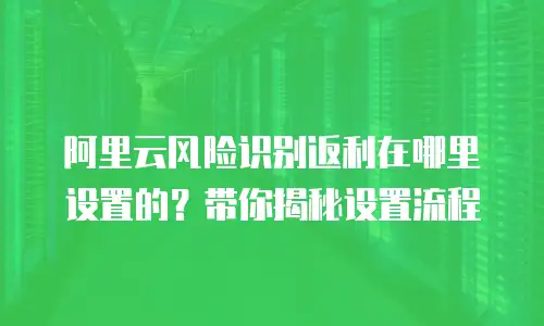阿里云风险识别返利在哪里设置的？带你揭秘设置流程