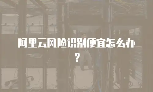 阿里云风险识别便宜怎么办？
