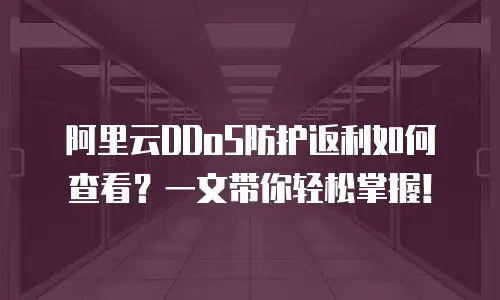 阿里云DDoS防护返利如何查看？一文带你轻松掌握！