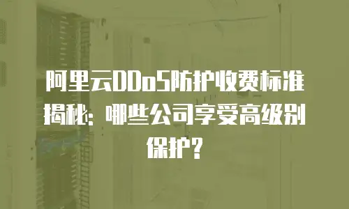 阿里云DDoS防护收费标准揭秘: 哪些公司享受高级别保护?