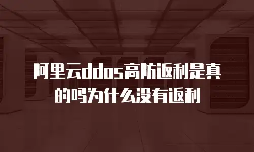 阿里云ddos高防返利是真的吗为什么没有返利