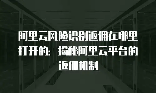 阿里云风险识别返佣在哪里打开的：揭秘阿里云平台的返佣机制