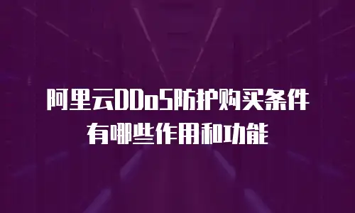 阿里云DDoS防护购买条件有哪些作用和功能