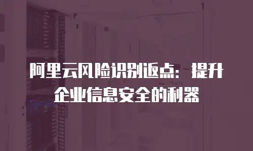 阿里云风险识别返点：提升企业信息安全的利器