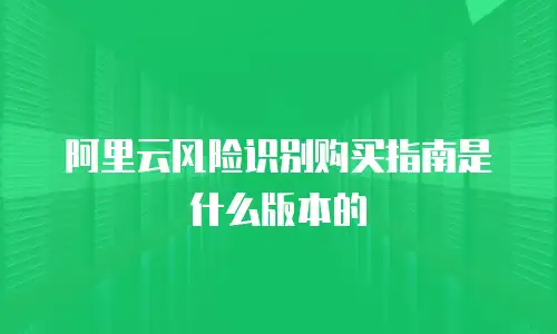 阿里云风险识别购买指南是什么版本的