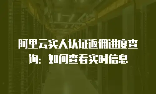 阿里云实人认证返佣进度查询：如何查看实时信息