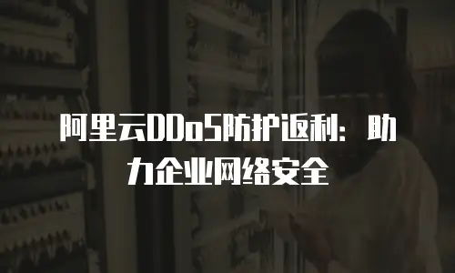 阿里云DDoS防护返利：助力企业网络安全