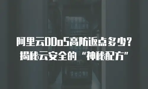 阿里云DDoS高防返点多少？揭秘云安全的“神秘配方”