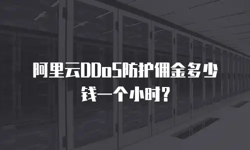 阿里云DDoS防护佣金多少钱一个小时？