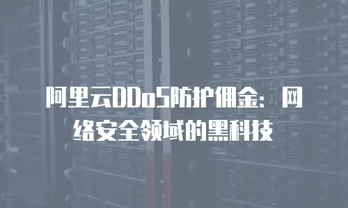 阿里云DDoS防护佣金：网络安全领域的黑科技