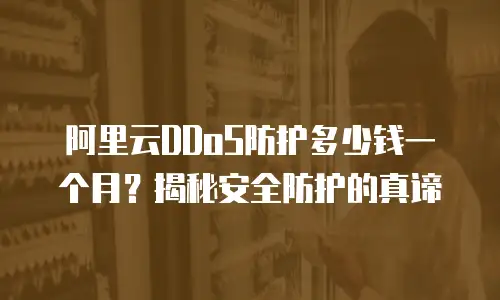 阿里云DDoS防护多少钱一个月？揭秘安全防护的真谛