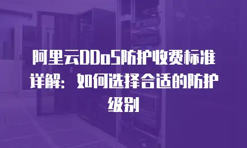 阿里云DDoS防护收费标准详解：如何选择合适的防护级别