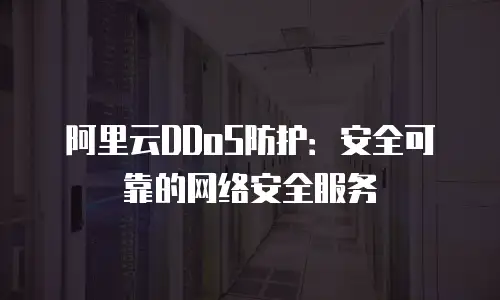 阿里云DDoS防护：安全可靠的网络安全服务