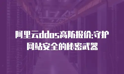 阿里云ddos高防报价:守护网站安全的秘密武器