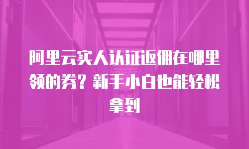 阿里云实人认证返佣在哪里领的券？新手小白也能轻松拿到