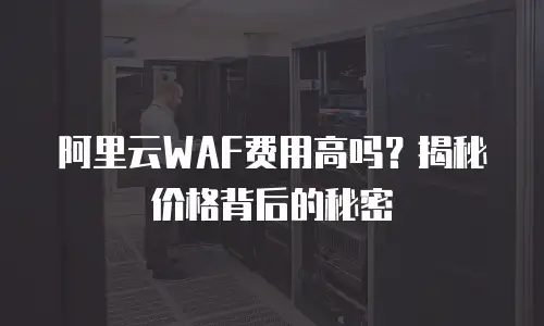 阿里云WAF费用高吗？揭秘价格背后的秘密