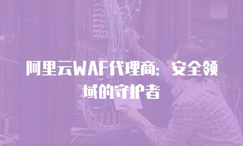 阿里云WAF代理商：安全领域的守护者