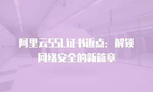 阿里云SSL证书返点：解锁网络安全的新篇章