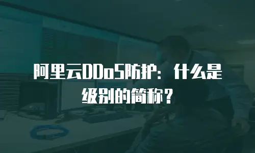 阿里云DDoS防护：什么是级别的简称？