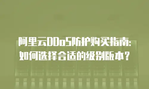 阿里云DDoS防护购买指南：如何选择合适的级别版本？