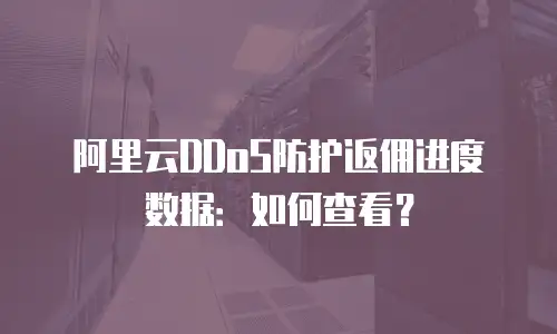 阿里云DDoS防护返佣进度数据：如何查看？