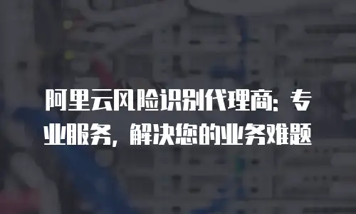 阿里云风险识别代理商: 专业服务, 解决您的业务难题