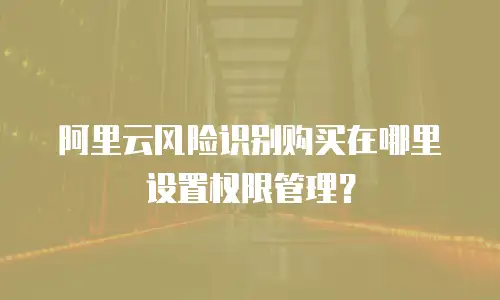阿里云风险识别购买在哪里设置权限管理？