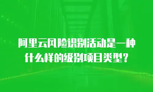 阿里云风险识别活动是一种什么样的级别项目类型？