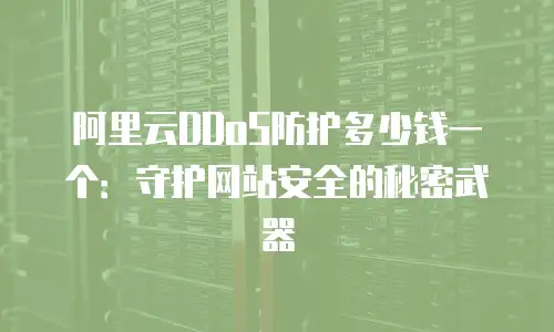 阿里云DDoS防护多少钱一个：守护网站安全的秘密武器