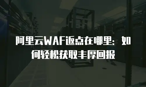 阿里云WAF返点在哪里：如何轻松获取丰厚回报